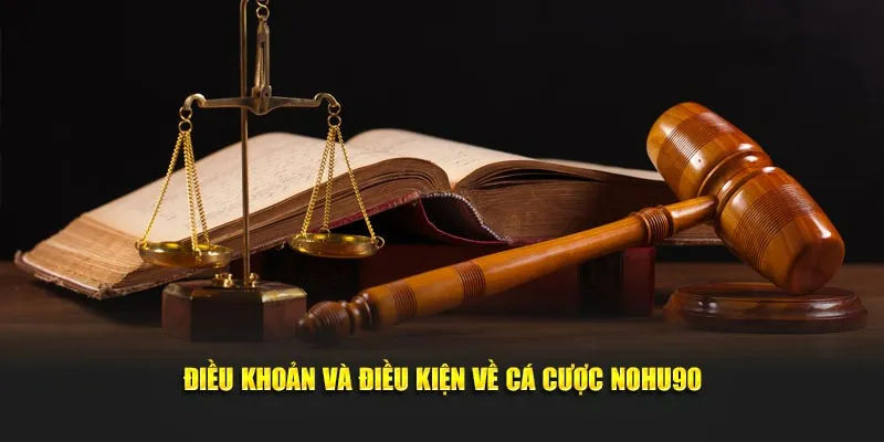 Điều khoản và điều kiện liên quan việc vui chơi giải trí tại Nohu90
